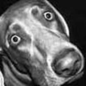 Meet your Posher, Jodi